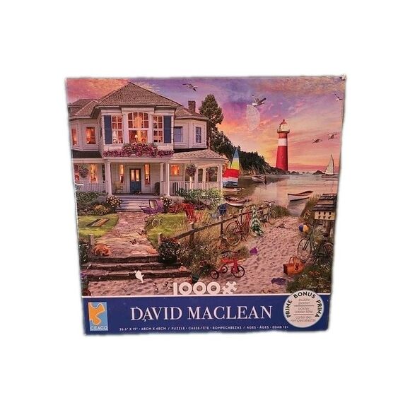 David Maclean Beach Cove CEACO Jigsaw Puzzle 43370 w/ POSTER 1000 Piece  2021 - Picture 1 of 5